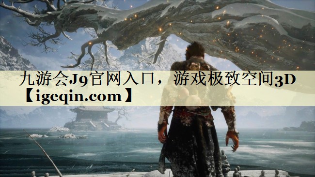 九游会J9官网入口，游戏极致空间3D
