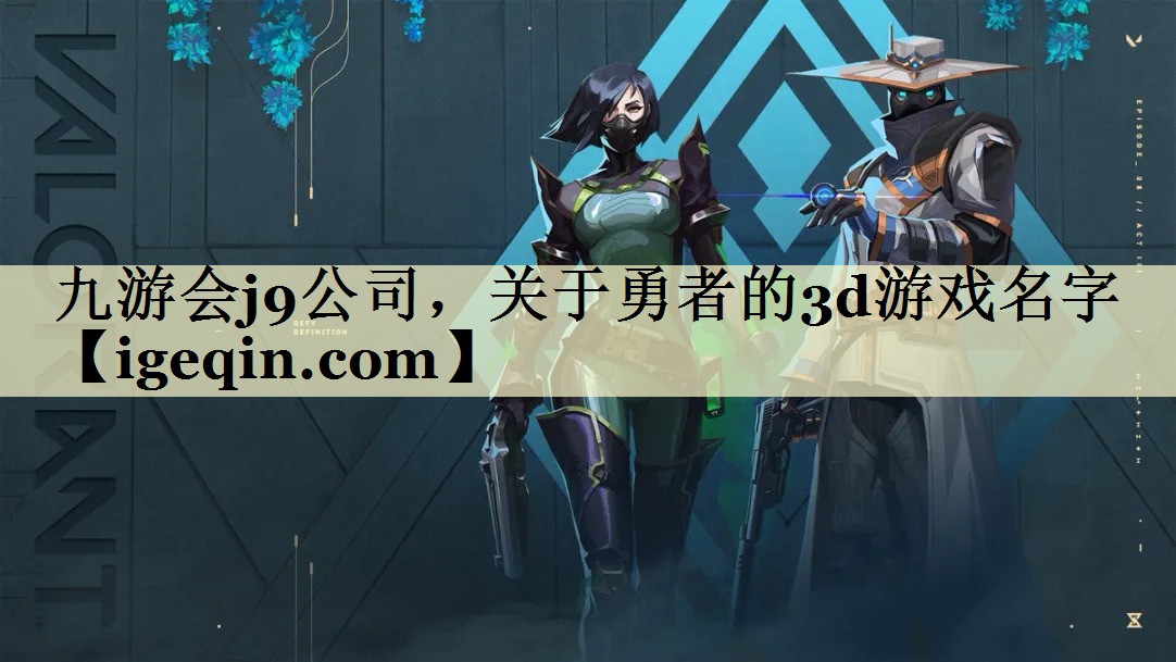 九游会j9公司，关于勇者的3d游戏名字