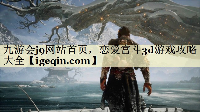恋爱宫斗3d游戏攻略大全