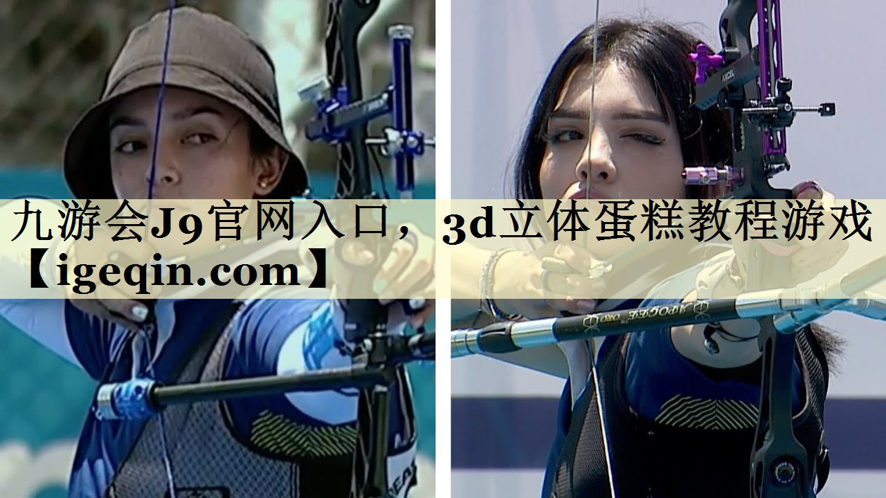 3d立体蛋糕教程游戏