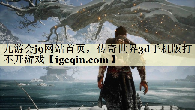 传奇世界3d手机版打不开游戏